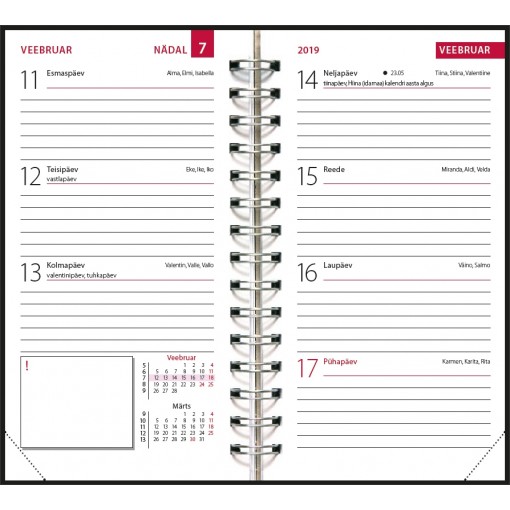 mini_sisu_spiraalk_ide